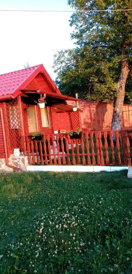 Pensiunea Tinelu Brasov Сачеле Екстер'єр фото