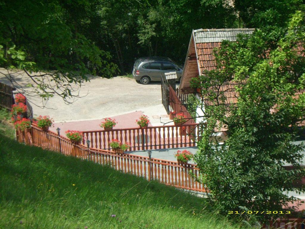 Pensiunea Tinelu Brasov Сачеле Екстер'єр фото