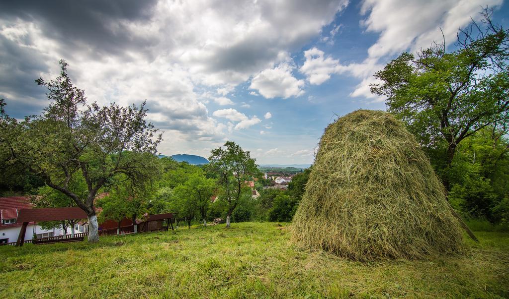 Pensiunea Tinelu Brasov Сачеле Екстер'єр фото