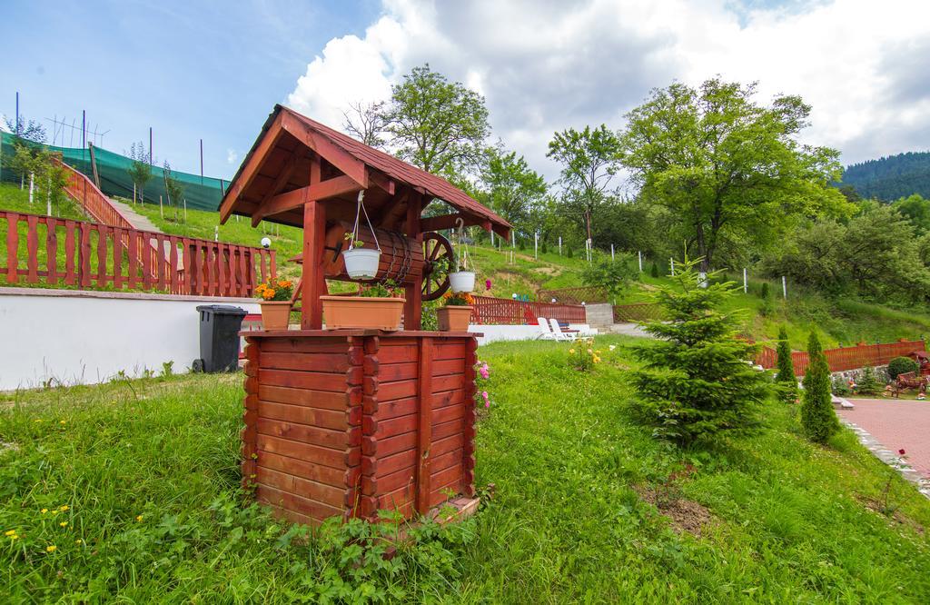 Pensiunea Tinelu Brasov Сачеле Екстер'єр фото