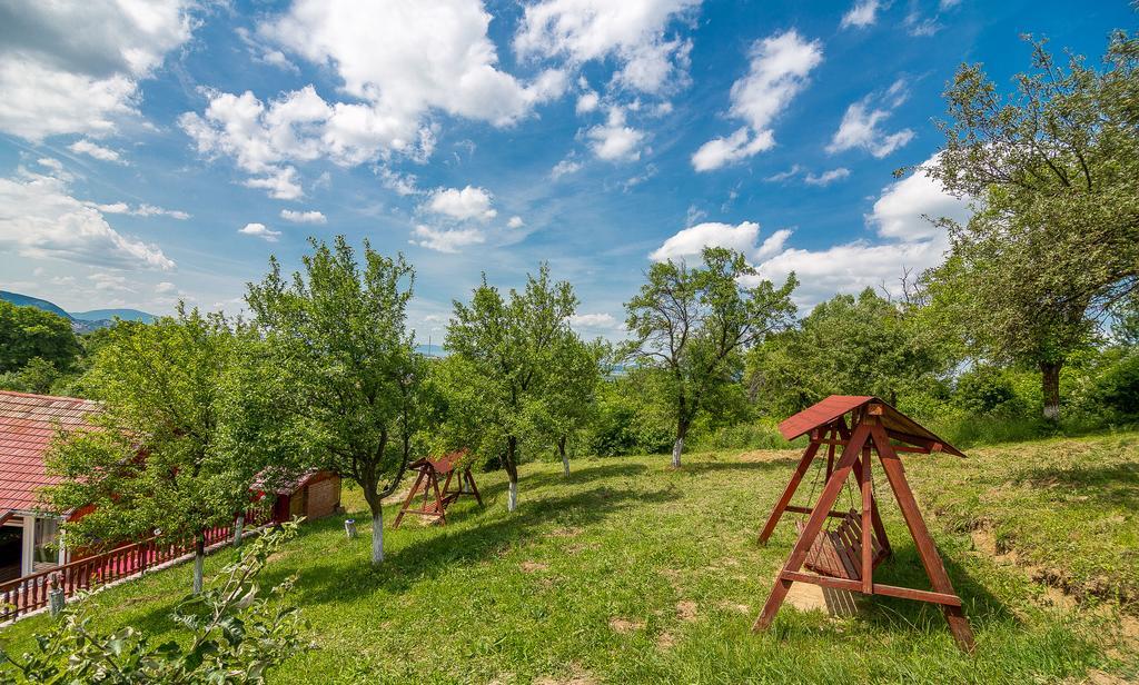 Pensiunea Tinelu Brasov Сачеле Екстер'єр фото